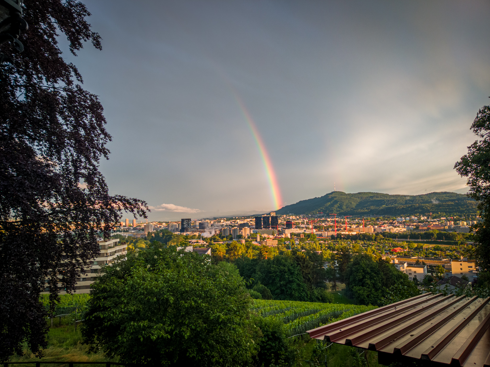 Regenbogen über Zürich