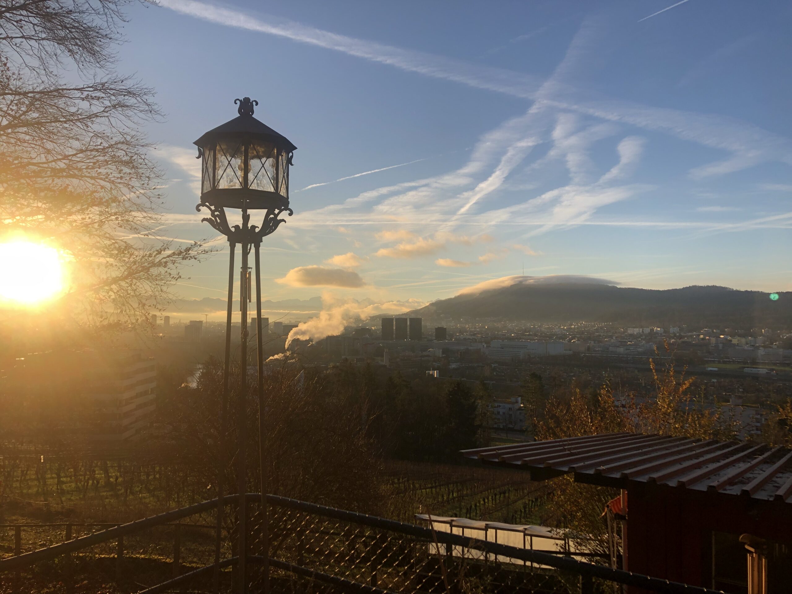 Blick auf Zürich bei Sonnenaufgang