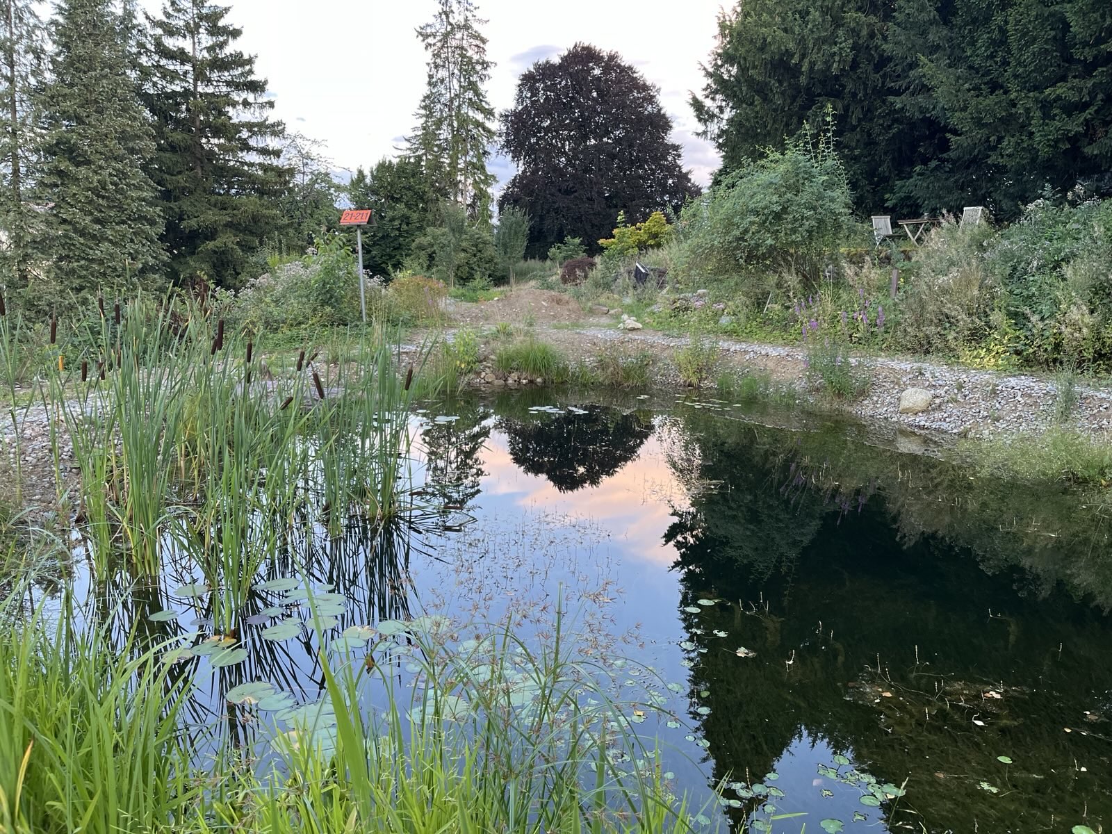 Teich Teich
